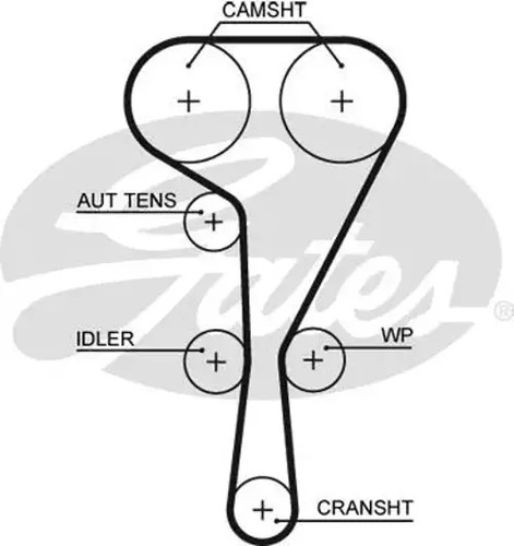 Timing belt kit - timing, water
